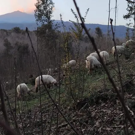 Etna Rural With Jacuzzi Chalet Pedara