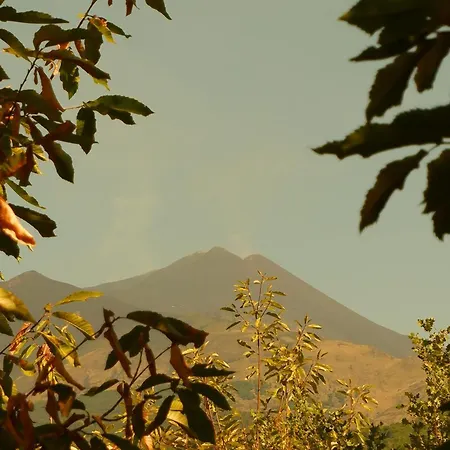 Etna Rural With Jacuzzi Chalet *