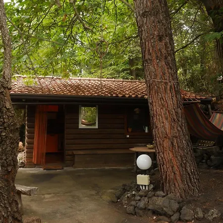 Etna Rural With Jacuzzi Chalet *