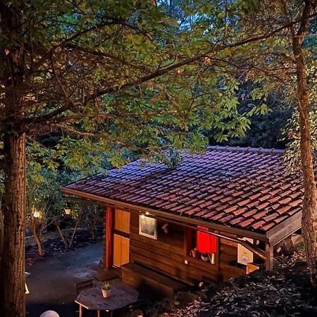 Chalet Etna Rural With Jacuzzi