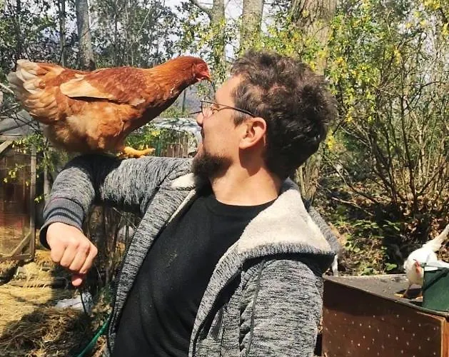 Chalet Etna Rural With Jacuzzi